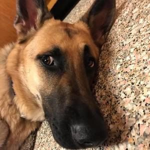 Meet your Posher, Timothy